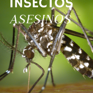Insectos Asesinos: Depredadores Letales del Mundo Pequeño (PDF+FLIPBOOK)