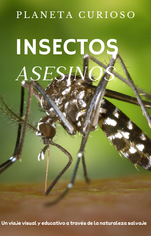 Insectos Asesinos: Depredadores Letales del Mundo Pequeño (PDF+FLIPBOOK)