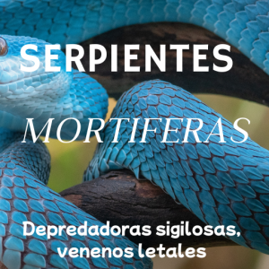 Serpientes Letales: Las Más Venenosas del Mundo (PDF+FLIPBOOK)