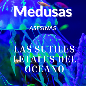 Medusas Asesinas: Las Sutiles Letales del Océano (PDF+FLIPBOOK)