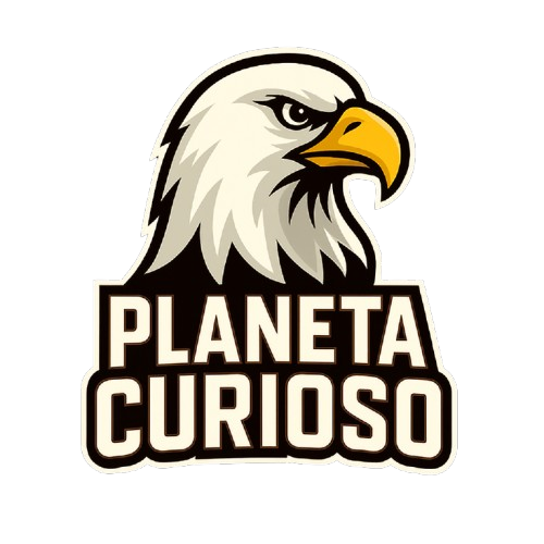 ChatGPT_Image_14_jun_2025__20_55_18-removebg-preview